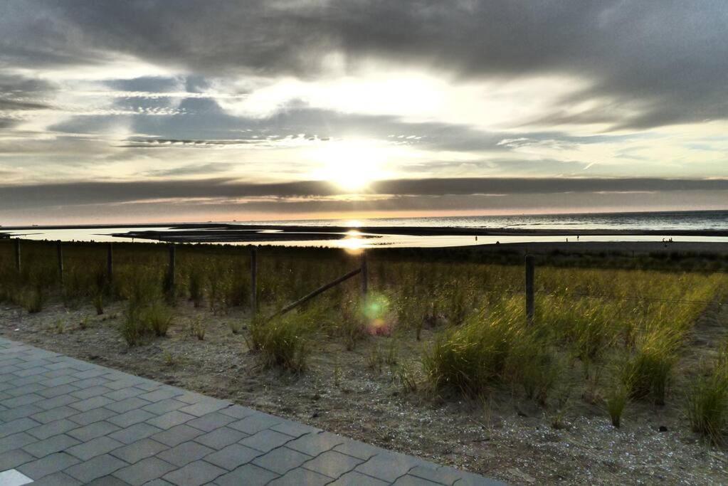 Vakantiehuis Bungalow In De Prachtige Haagse Duinen! *