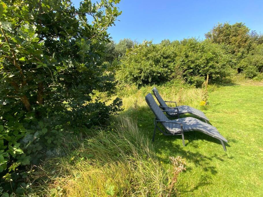 Bungalow In De Prachtige Haagse Duinen! Vakantiehuis